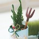 2009년 플로리스트 11월호 잡지 - Cactus Pot