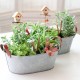 Mini Garden