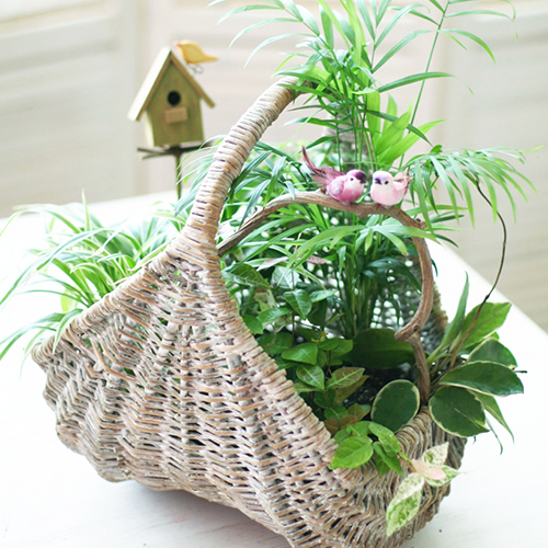 Mini Garden - Basket