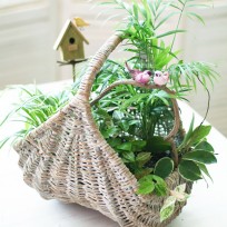 Mini Garden - Basket