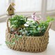 Country Style Mini Garden