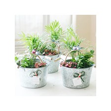 Mini Garden