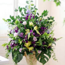 Pedestal Arrangement